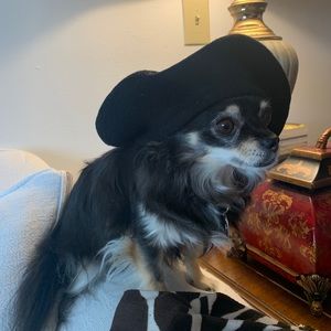 Meet your Posher, Julia